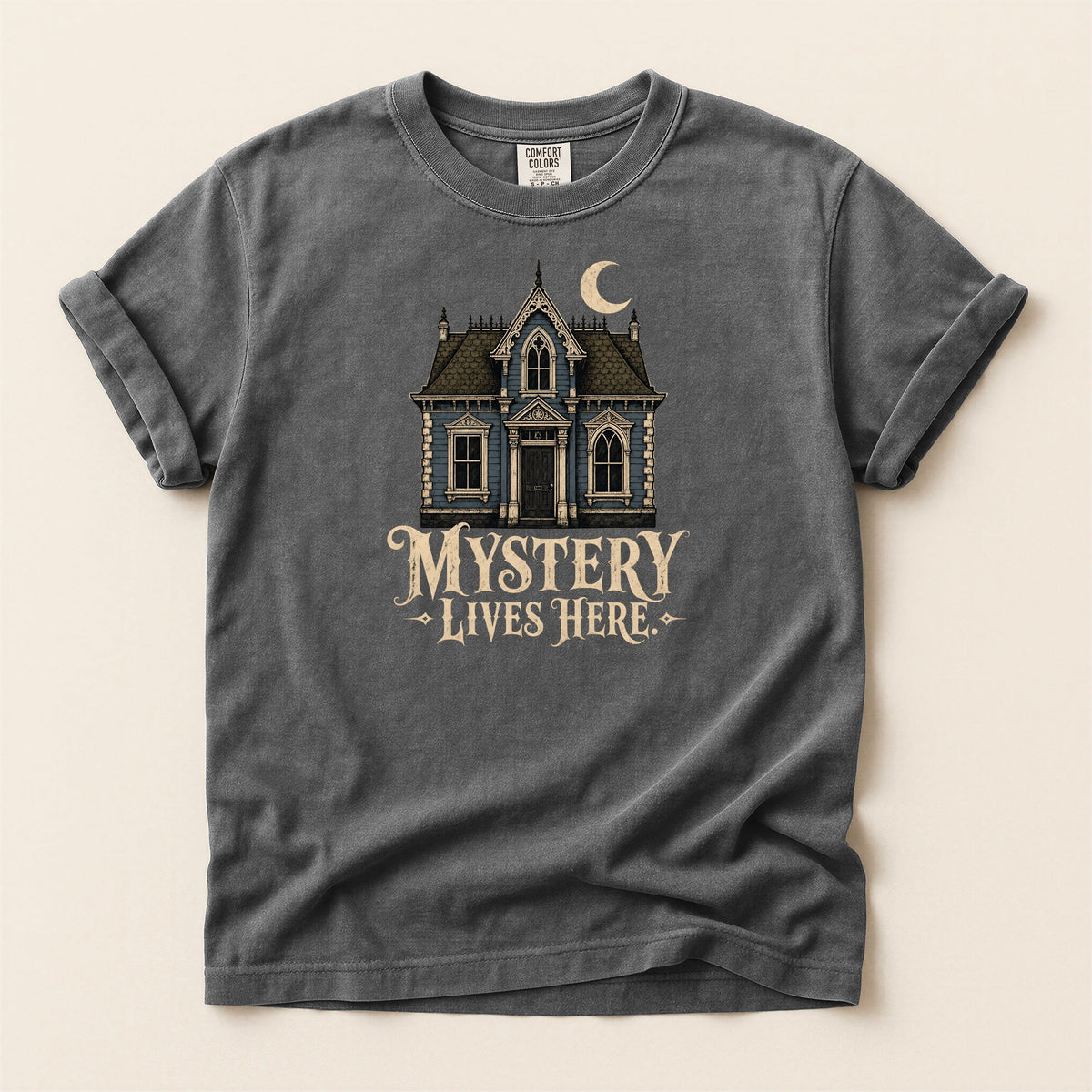 Shelf Love Studio Mystery Lives Here t-shirt in Pepper, flat